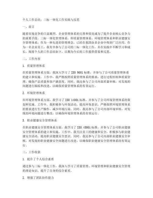 三标一体化个人工作总结