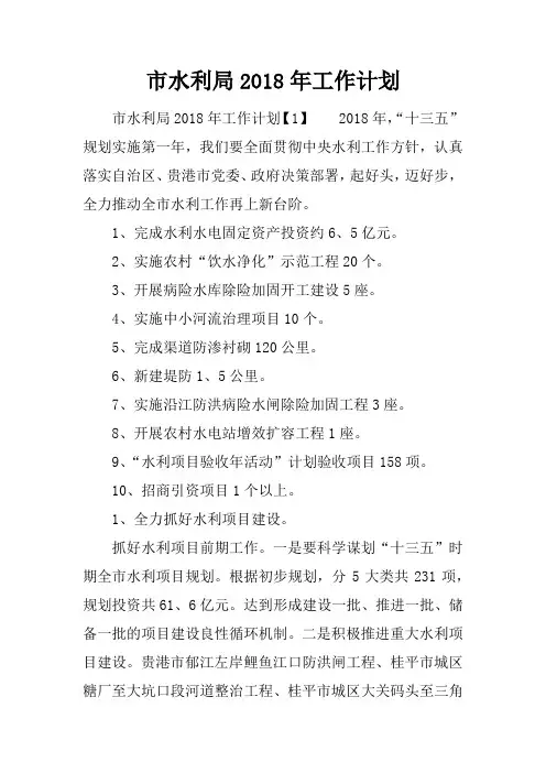 市水利局2018年工作计划