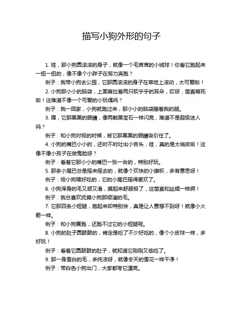 描写小狗外形的句子