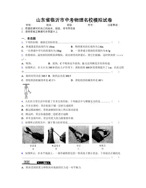最新山东省临沂市中考物理名校模拟试卷及解析