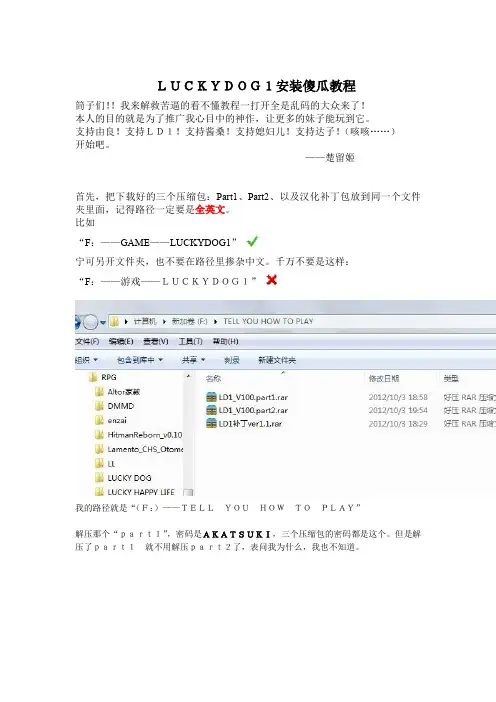 LUCKYDOG1安装傻瓜教程,现在为大家免费放出~