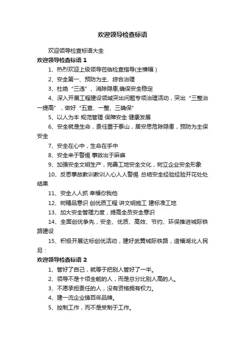 欢迎领导检查标语