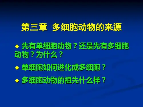 多细胞动物的起源