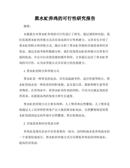 黑水虻养鸡的可行性研究报告