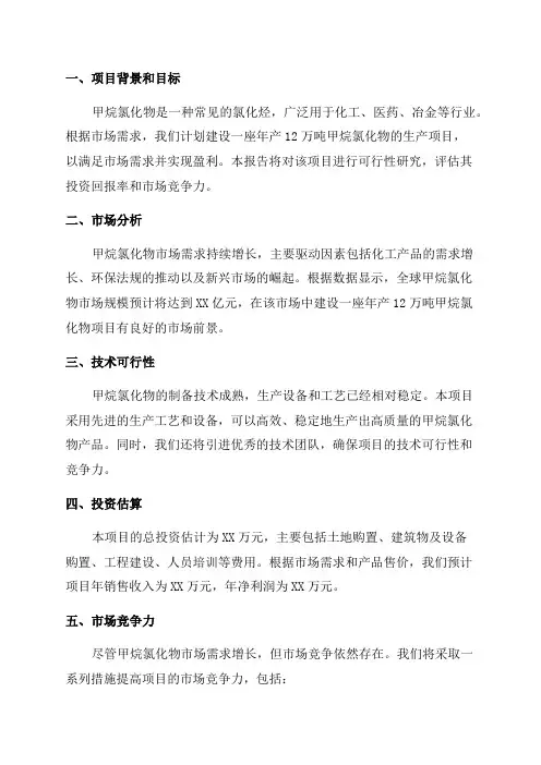 年产12万吨甲烷氯化物项目可行性研究报告