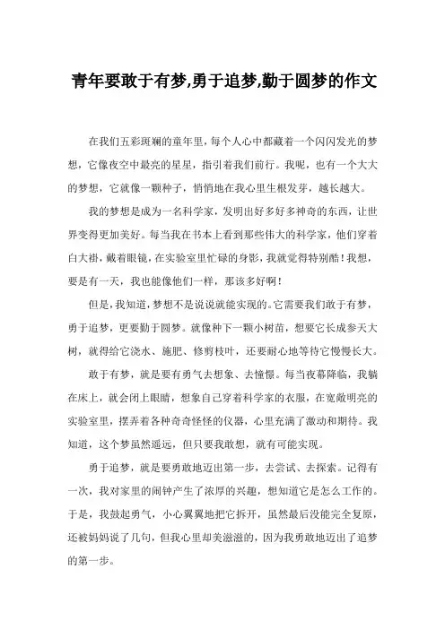 青年要敢于有梦,勇于追梦,勤于圆梦的作文