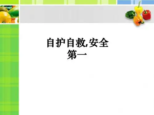 自护自救,安全第一PPT课件