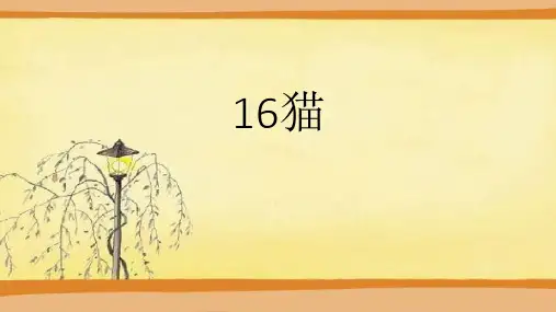 人教部编版语文七年级上册第16课《猫》课件(共19张PPT)