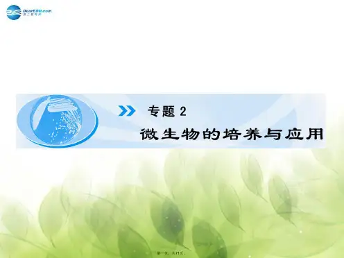 高中生物 专题2 话题1 微生物的实验室培养课件 新人教版