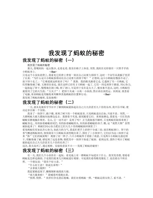 我发现了蚂蚁的秘密作文共九篇