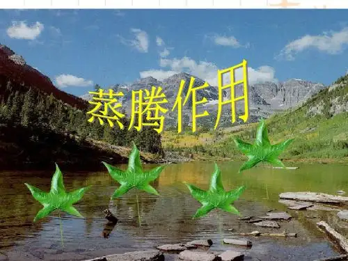 七年级生物课件 蒸腾作用ppt