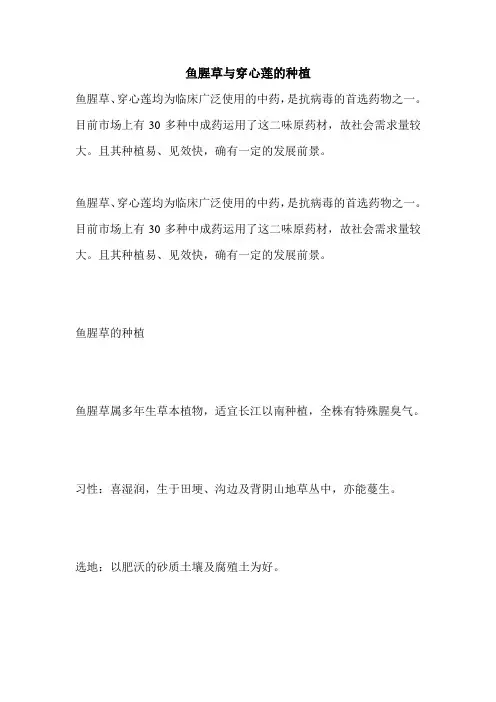 鱼腥草与穿心莲的种植
