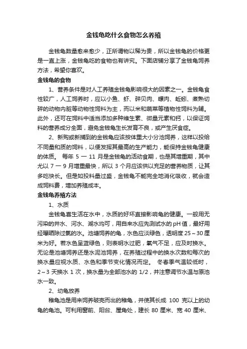 金钱龟吃什么食物怎么养殖