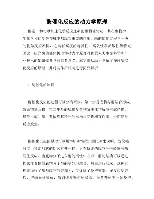 酶催化反应的动力学原理