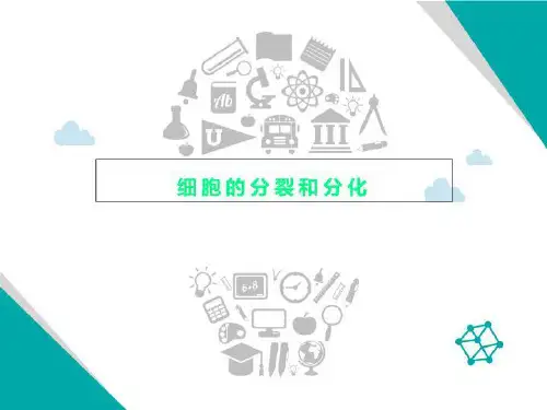 细胞的分裂和分化