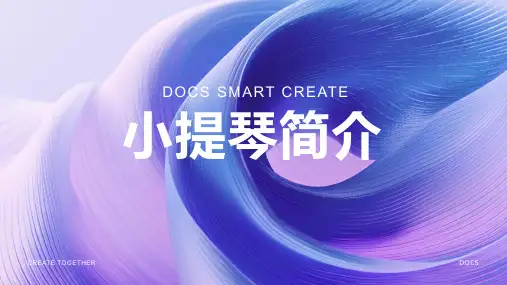 小提琴简介