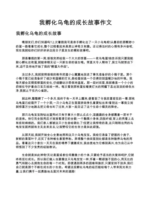 我孵化乌龟的成长故事作文