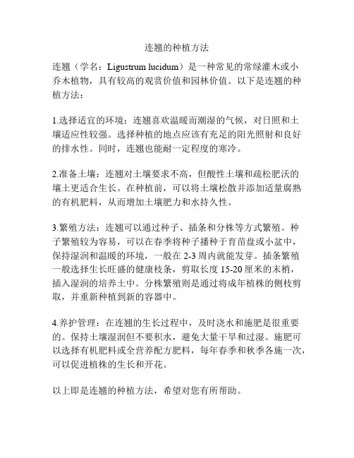 连翘的种植方法