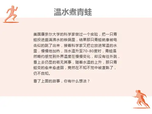 项目风险管理案例分析报告