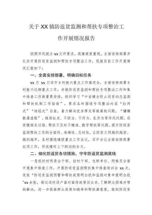 关于镇防返贫监测和帮扶专项整治工作开展情况报告