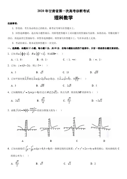 甘肃省2020年第一次高考诊断考试理科数学带答案