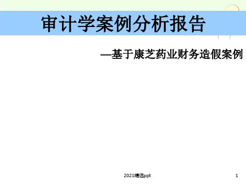 审计案例分析报告ppt课件