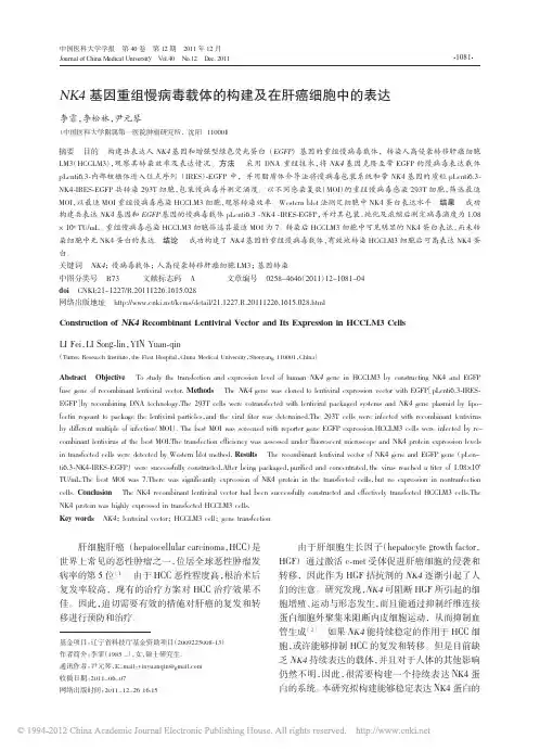 NK4基因重组慢病毒载体的构建及在肝癌细胞中的表达_李霏