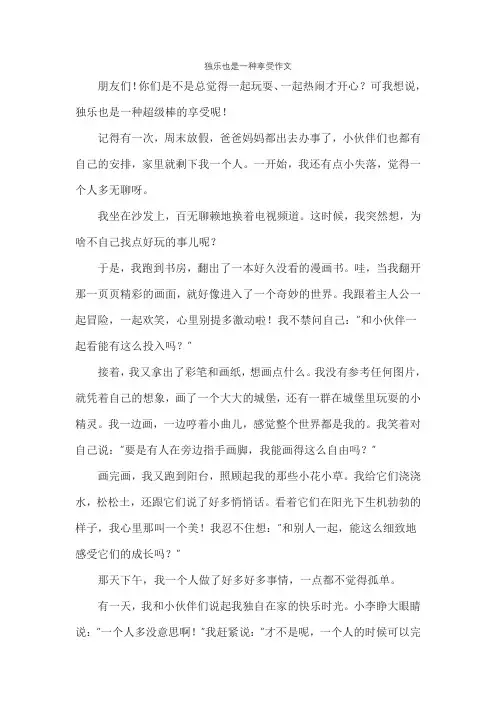 独乐也是一种享受作文