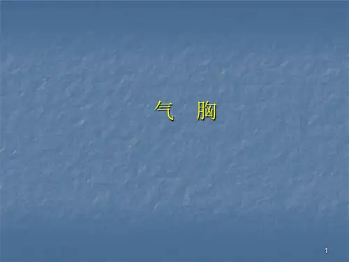气胸ppt课件