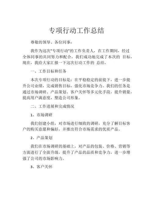 专项行动工作总结