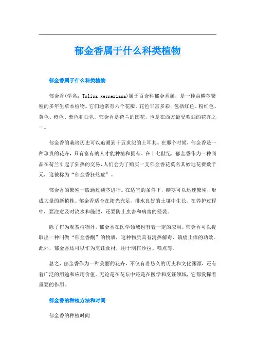 郁金香属于什么科类植物