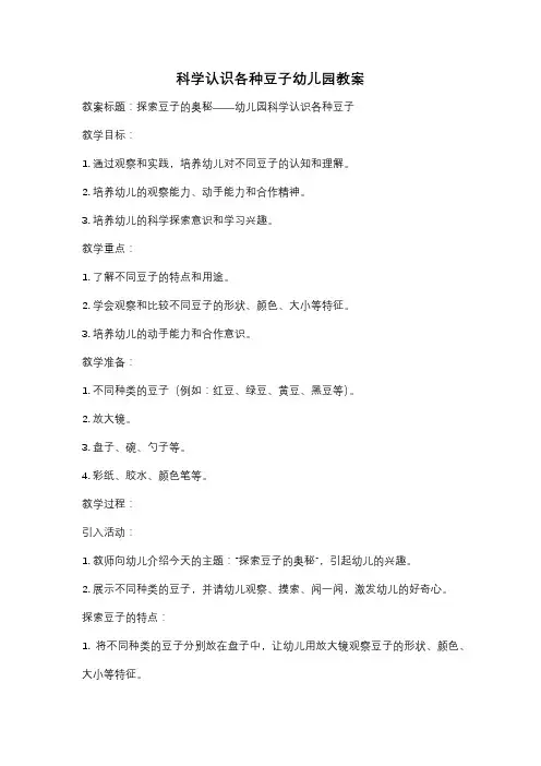 科学认识各种豆子幼儿园教案