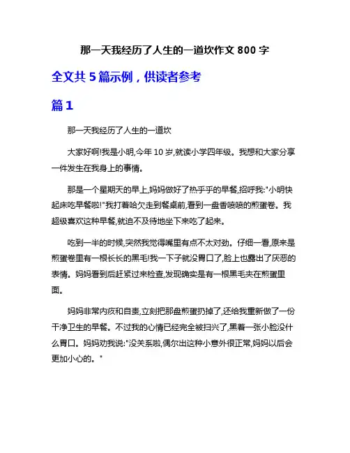 那一天我经历了人生的一道坎作文800字