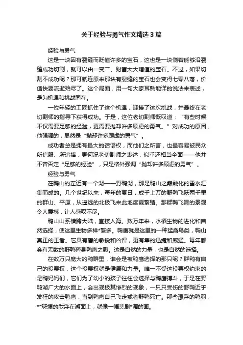 关于经验与勇气作文精选3篇