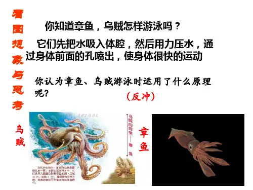 (完整版)16.5反冲运动---火箭