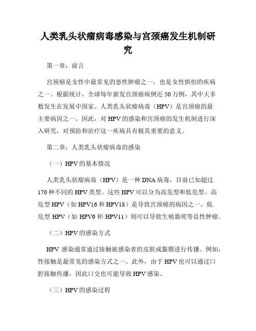 人类乳头状瘤病毒感染与宫颈癌发生机制研究