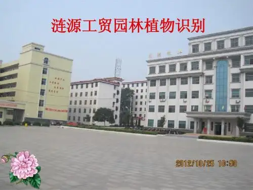 校园园林植物识别