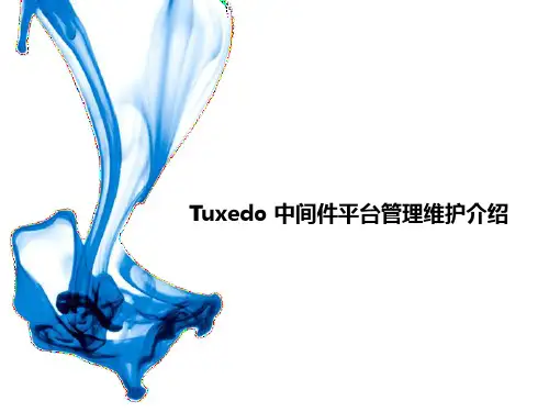 Tuxedo中间件平台管理维护介绍