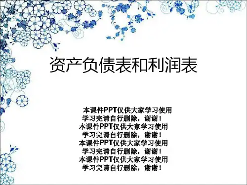 资产负债表和利润表