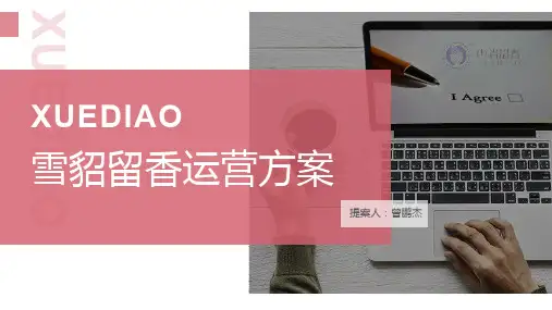 京东店铺运营方案PPT课件