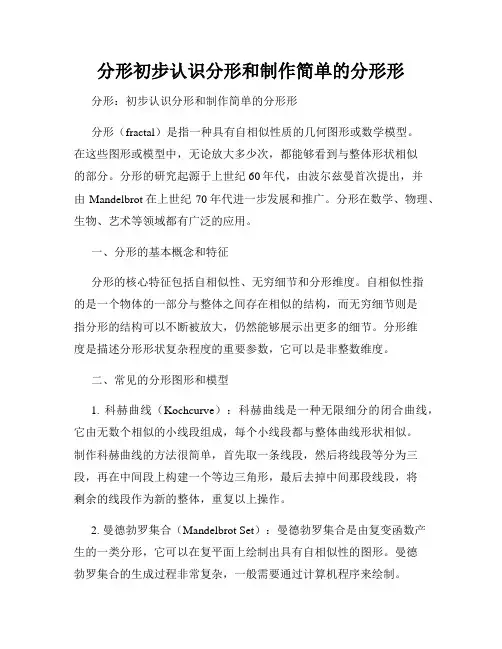 分形初步认识分形和制作简单的分形形