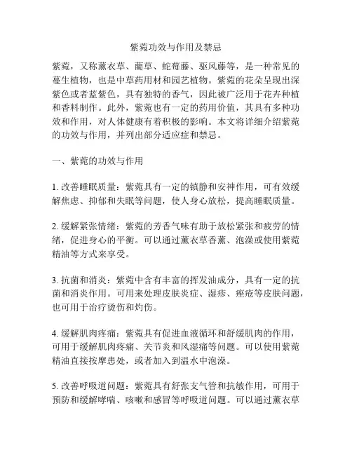 紫菀功效与作用及禁忌