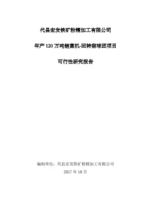 年产120万吨链蓖机-回转窑氧化球团项目