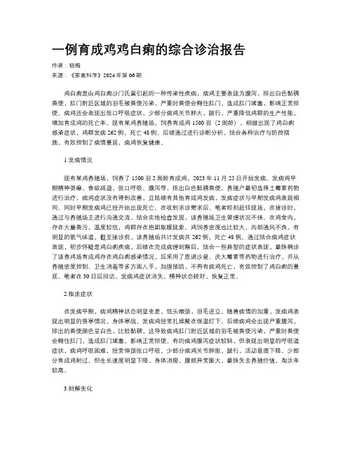 一例育成鸡鸡白痢的综合诊治报告