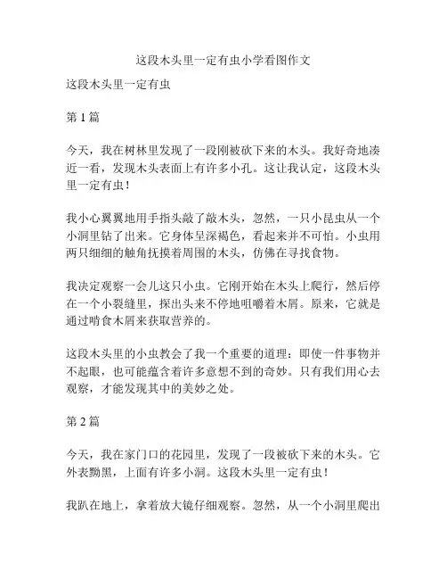 这段木头里一定有虫小学看图作文