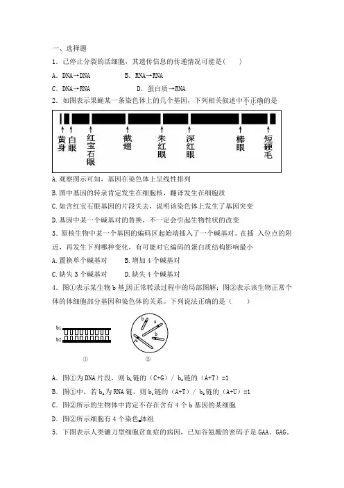 人教版 基因的表达 单元测试