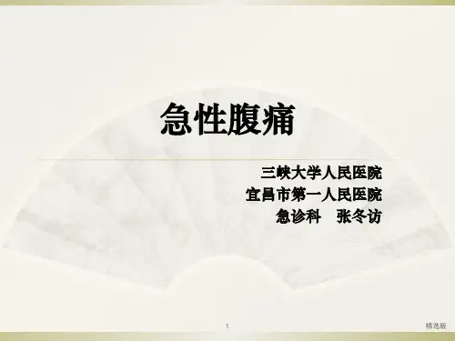 《急性腹痛》ppt课件
