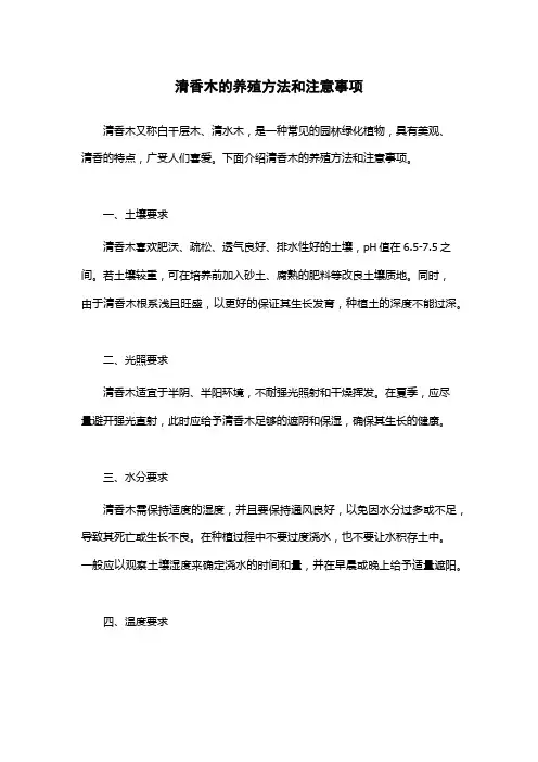 清香木的养殖方法和注意事项