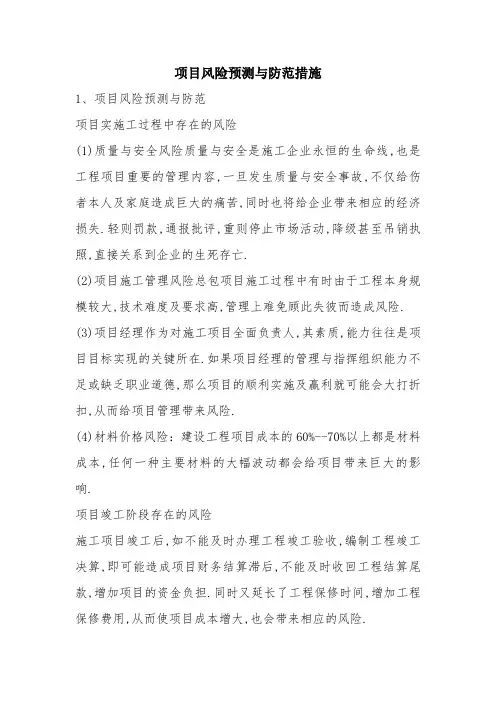 项目风险预测与防范措施
