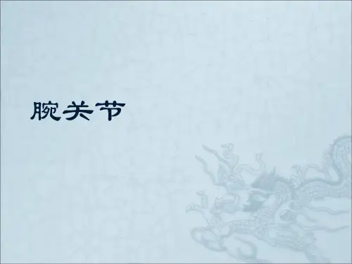 腕关节解剖